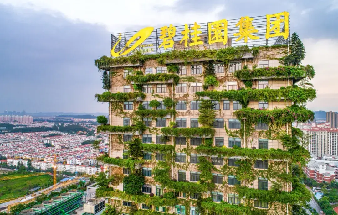 碧桂园，痛失了400亿
