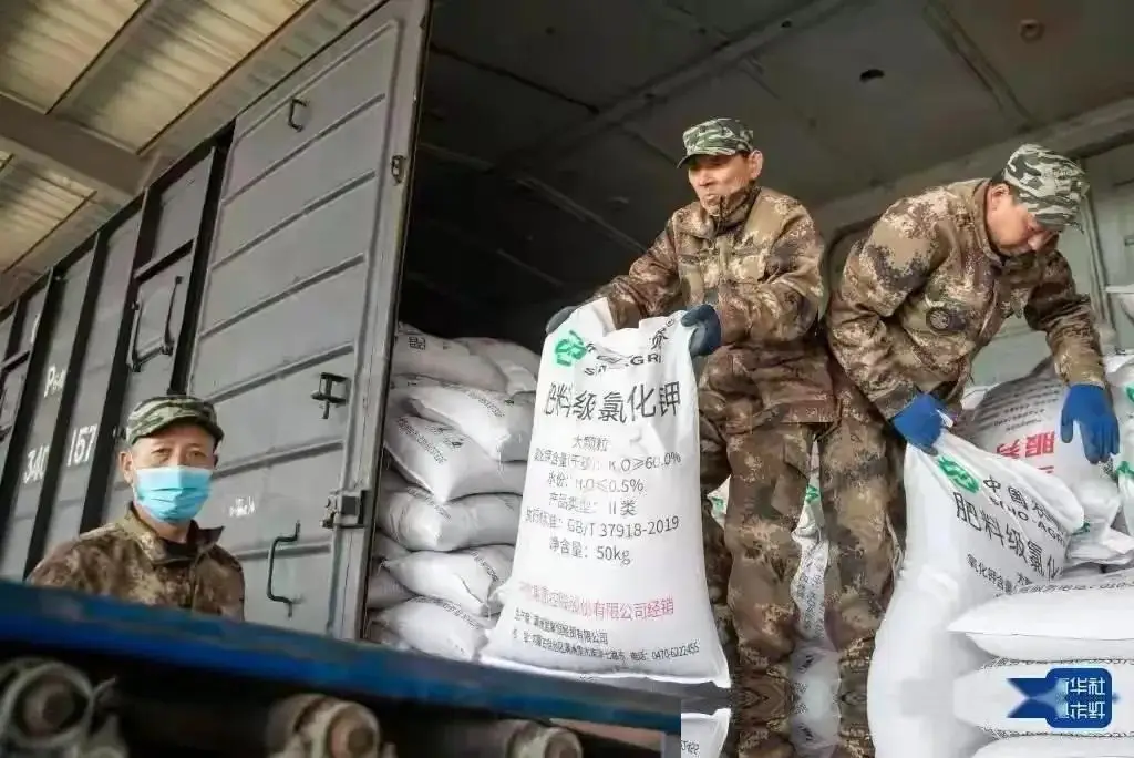 粮食股涨化肥股什么时候涨__粮在手化肥价格表