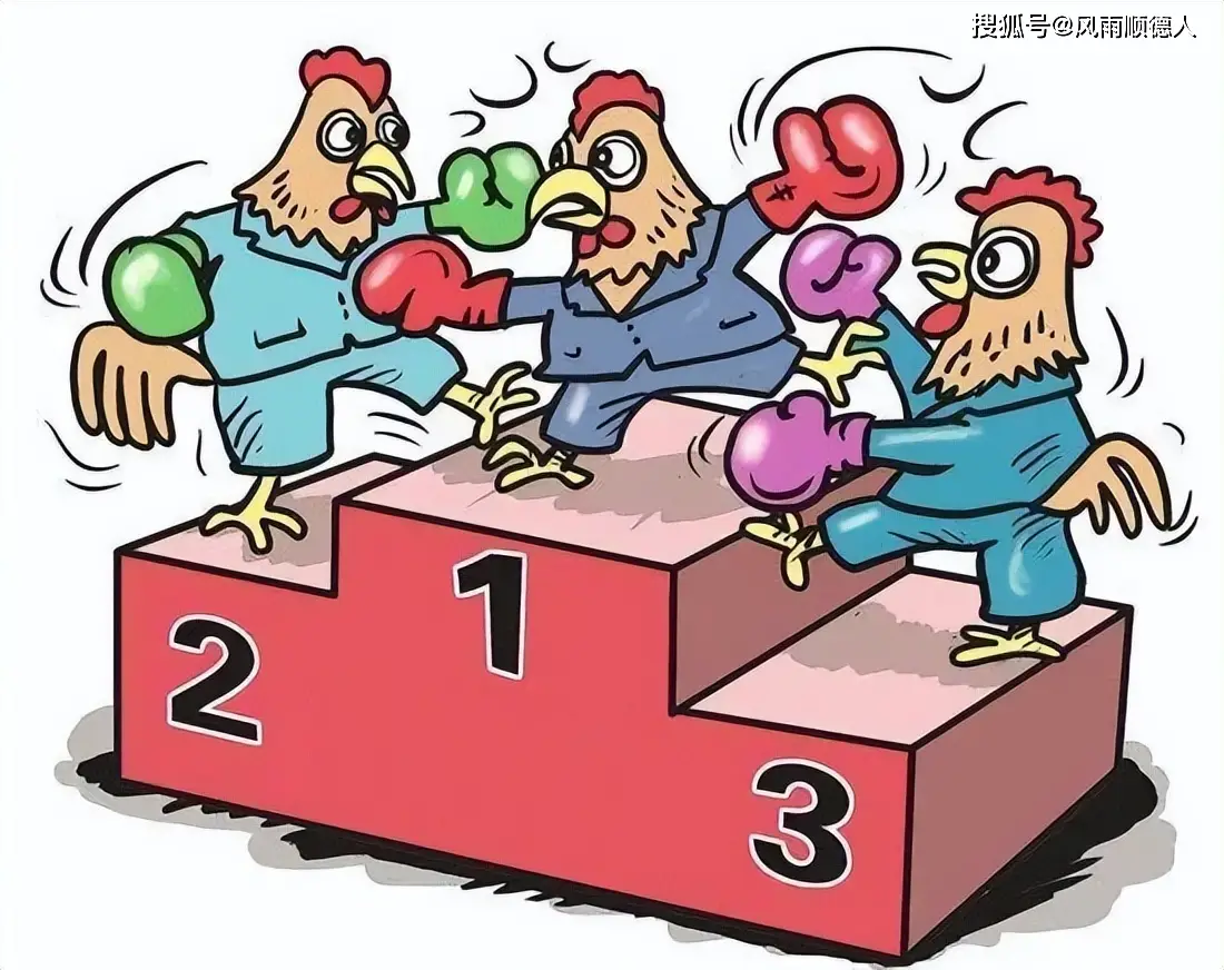 净值报告是什么意思__净值查询常见问题