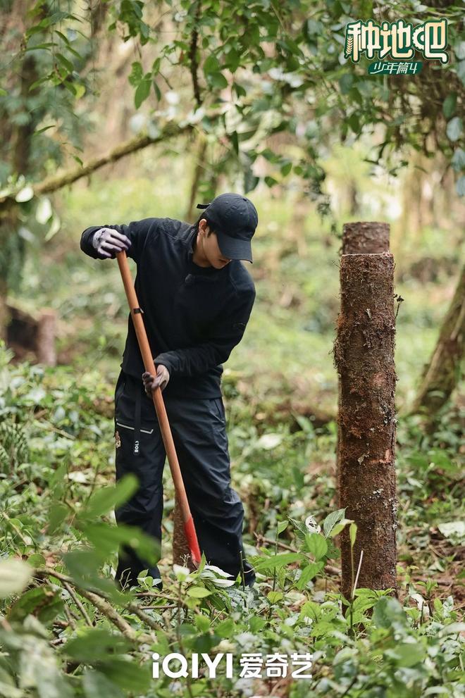 捕鱼来了渔场花热度怎么收__斛生记石斛价格