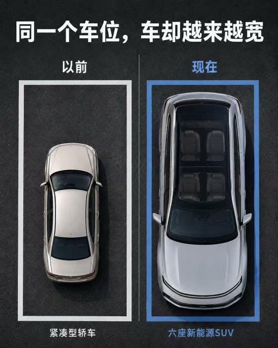 _一亩桃树能产多少桃胶_婚纱店上班要干什么