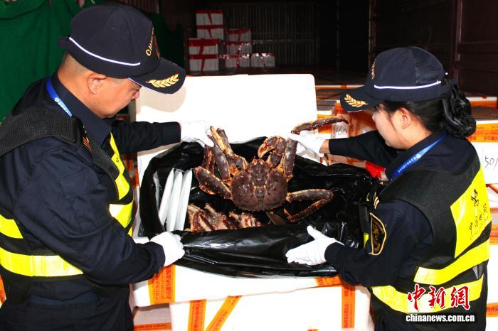_帝王蟹从那个口岸进口到中国_泰国帝王蟹